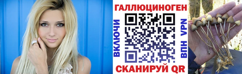 Псилоцибиновые грибы ЛСД  Купить закладки  Суджа 